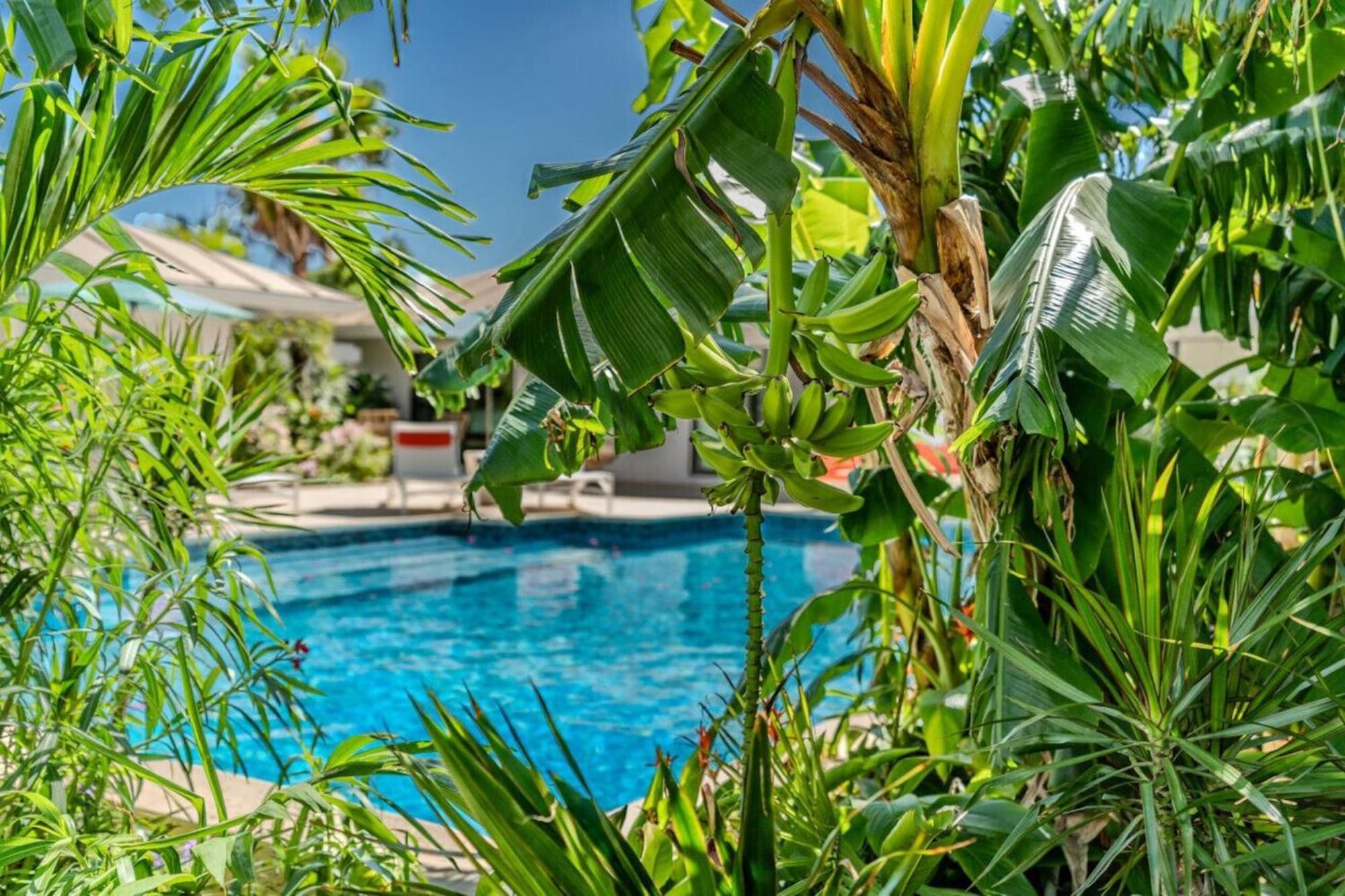 Royal Villa With A Huge Swimming Pool Cowell Battery Экстерьер фото