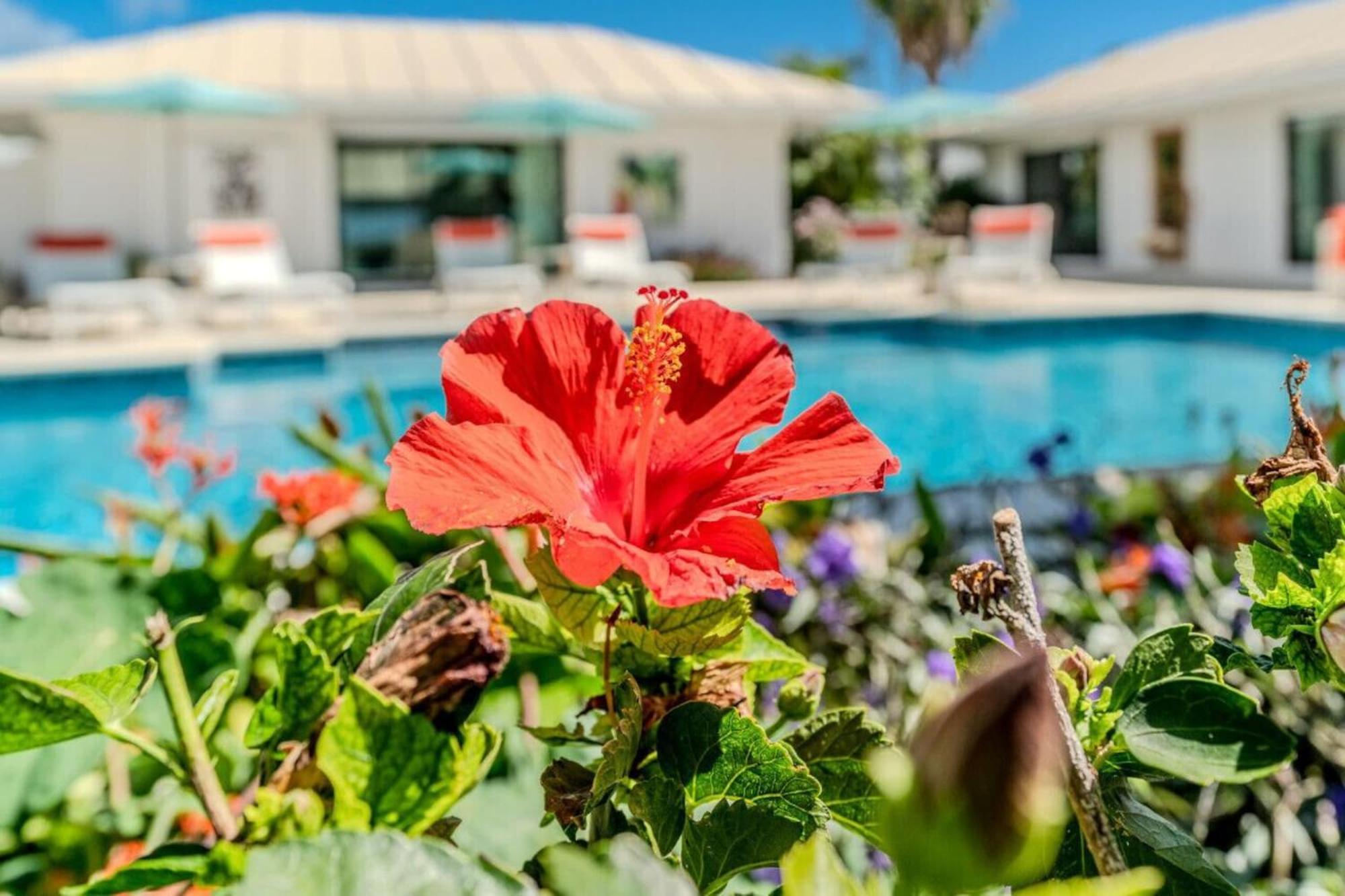 Royal Villa With A Huge Swimming Pool Cowell Battery Экстерьер фото